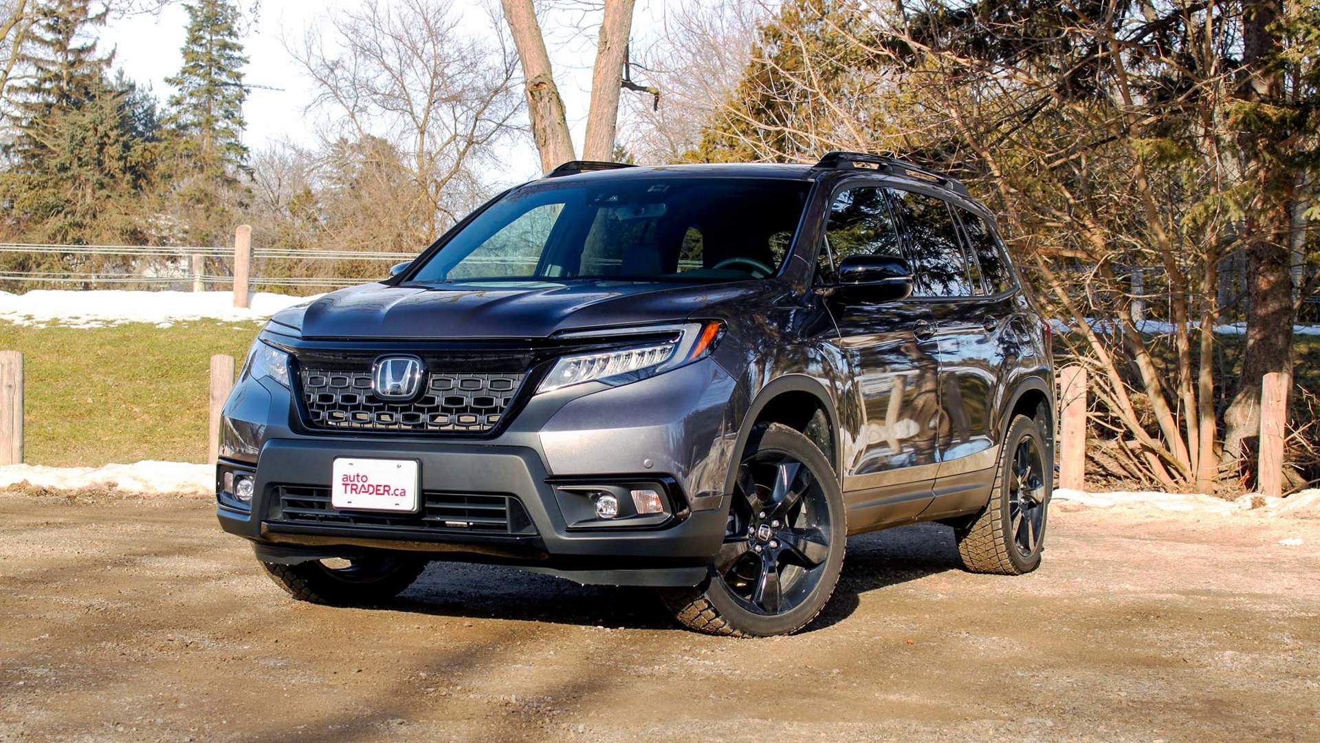 Honda Passport Found Still Hidden Under Heavy Camouflage