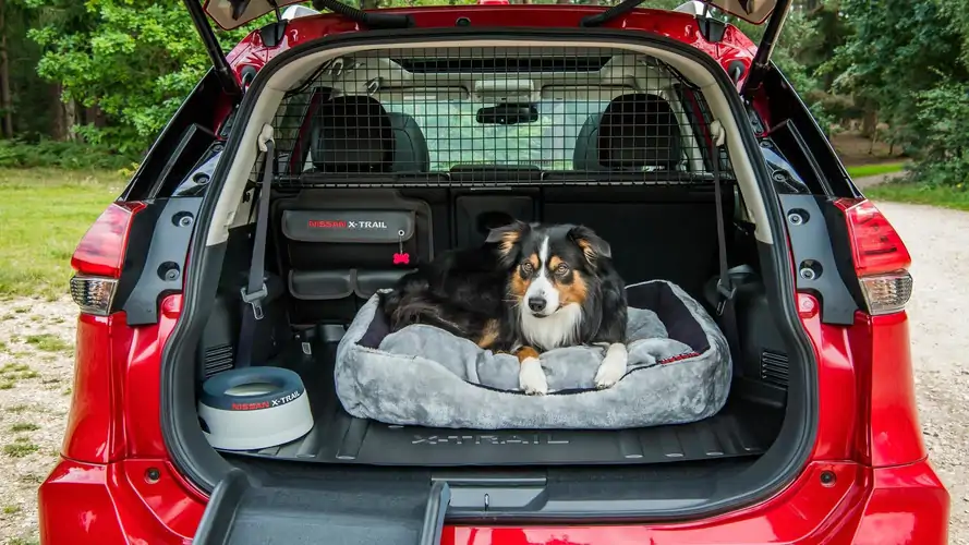 Nssan X-Trail Adds 'Paw Pack' In U.K. For Canine Adventuresi