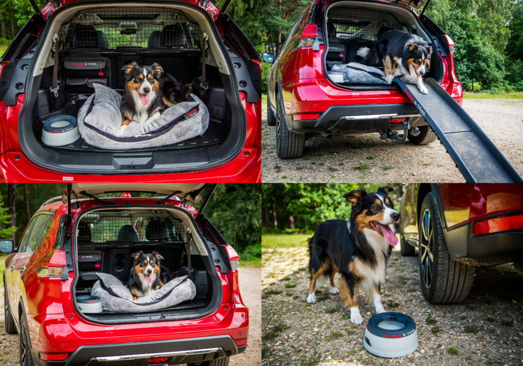 Nssan X-Trail Adds 'Paw Pack' In U.K. For Canine Adventuresi