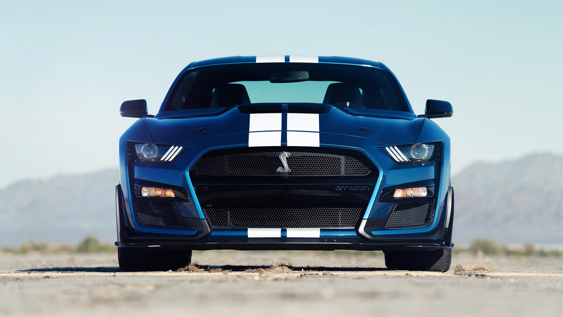 Ford Mustang Shelby GT500 - Shows Its Details and 700++ HP Engine