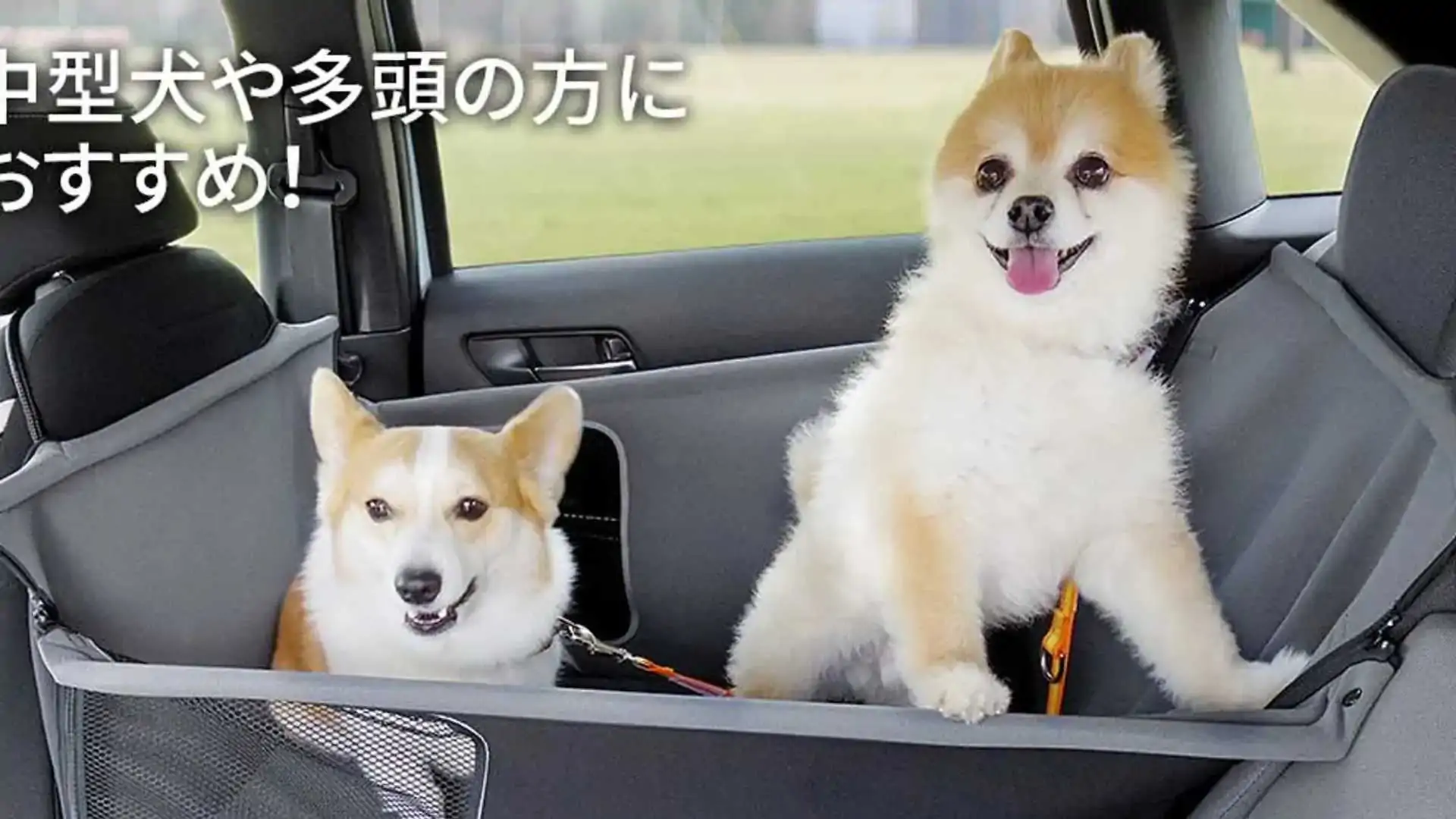 Honda introduces Paw Accessories for Dog Lovers of Japan