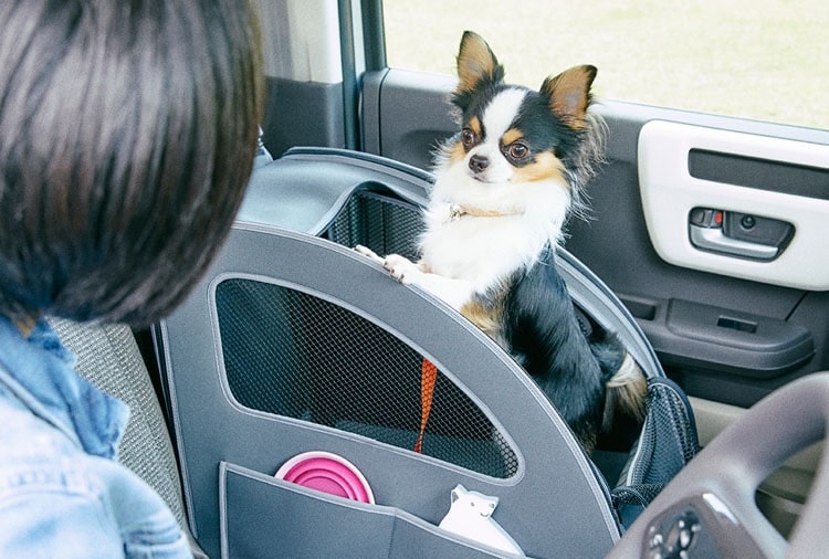 Honda Pet Seat Plus is the Most Adorable Product You Will Ever See