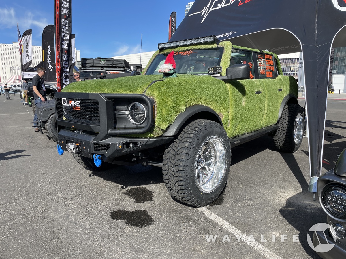 This Custom Ford 'Chia' Bronco will grow on you - Literally