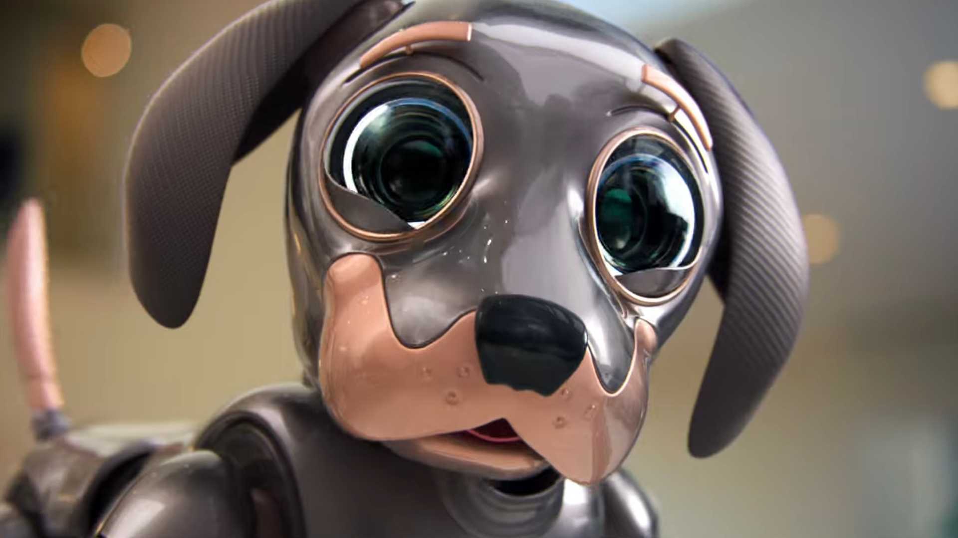 Super Bowl Teasers from Kia Pull at Our Heartstrings with Wide-Eyed Robo Dog