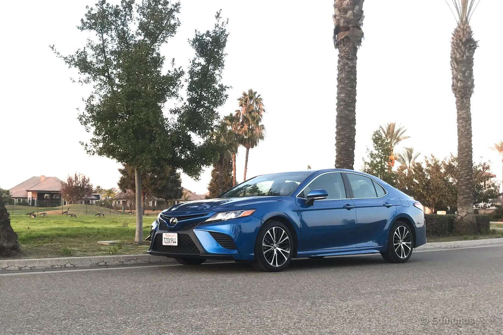 2018 Toyota Camry seen looking strong, perhaps a performance model?