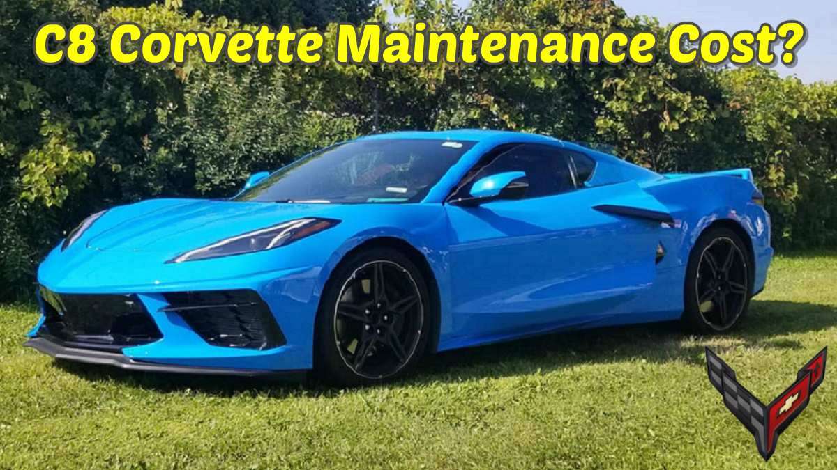 2020 Corvette Oil Changes Are Super Easy Thanks To Engineers