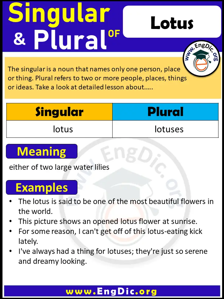 Have you ever wondered what the Plural of Lotus is? Here's the Answer