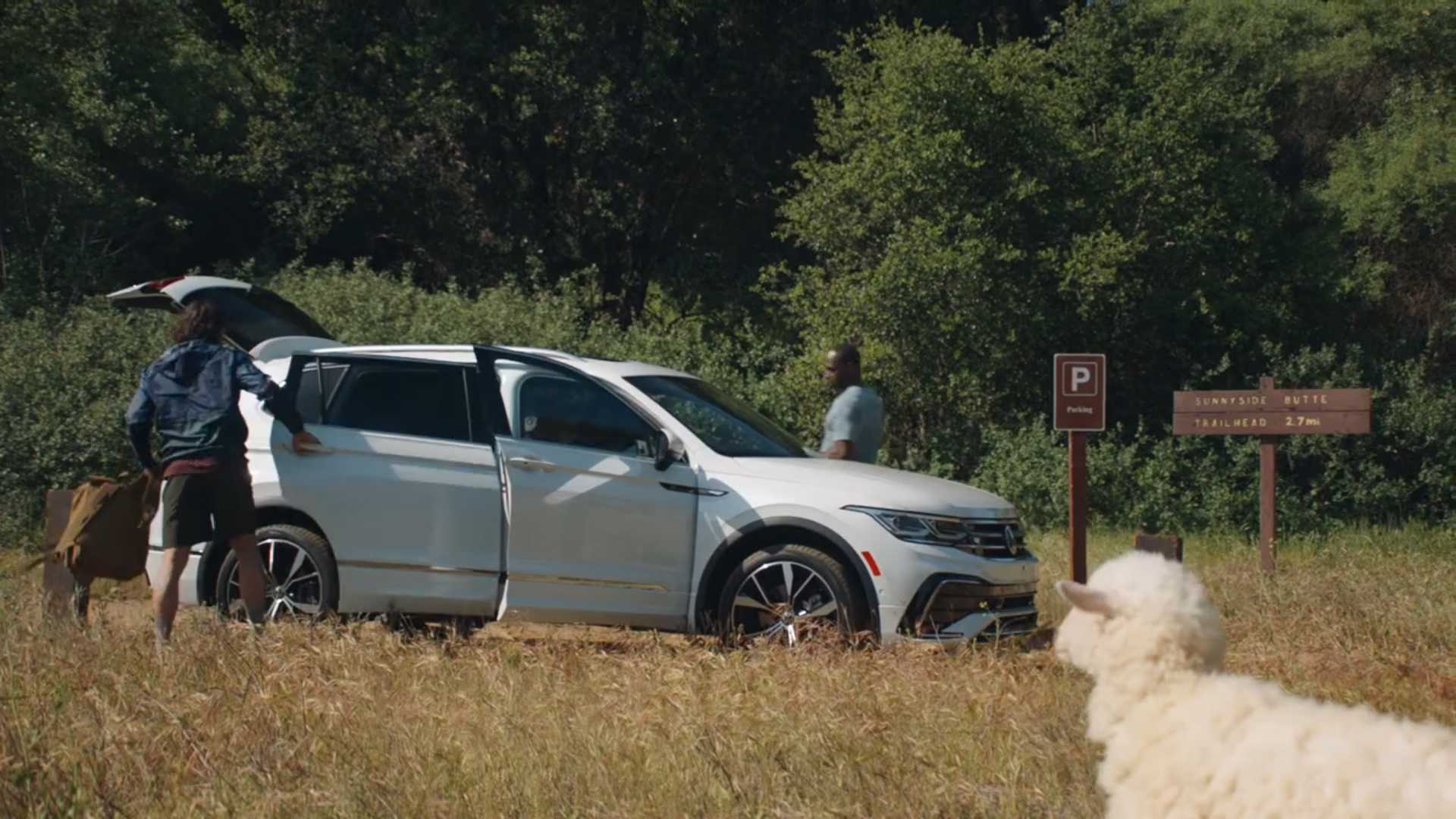 Volkswagen Tiguan is the SUV of Choice for... Adventurous Sheep