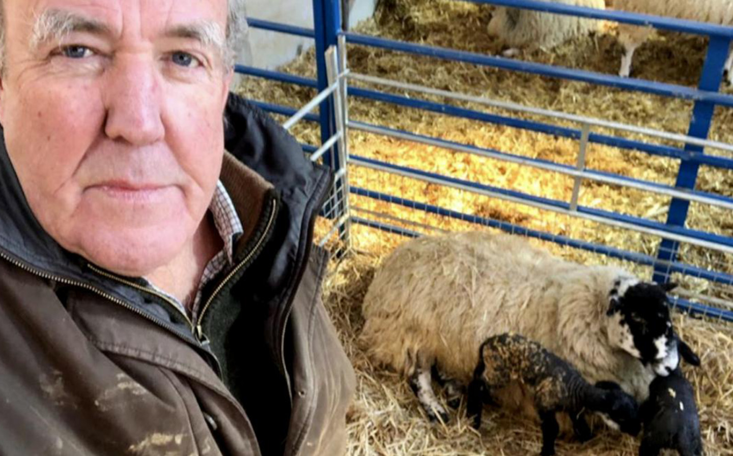 Clarkson's Farm Teaser Video Looks like Top Gear with Lots of Sheep