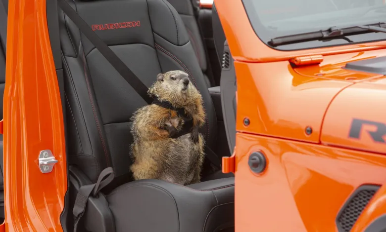 Jeep Super Bowl Commercial Stars Gladiator, Bill Murray, And A Groundhog