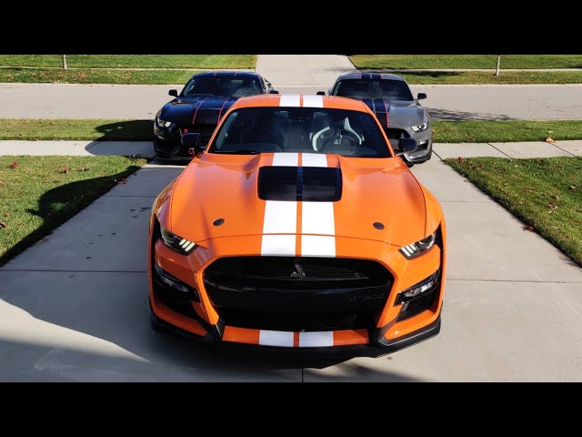 Watch the 2020 Shelby GT500's V8 of 760 HP being built by hand