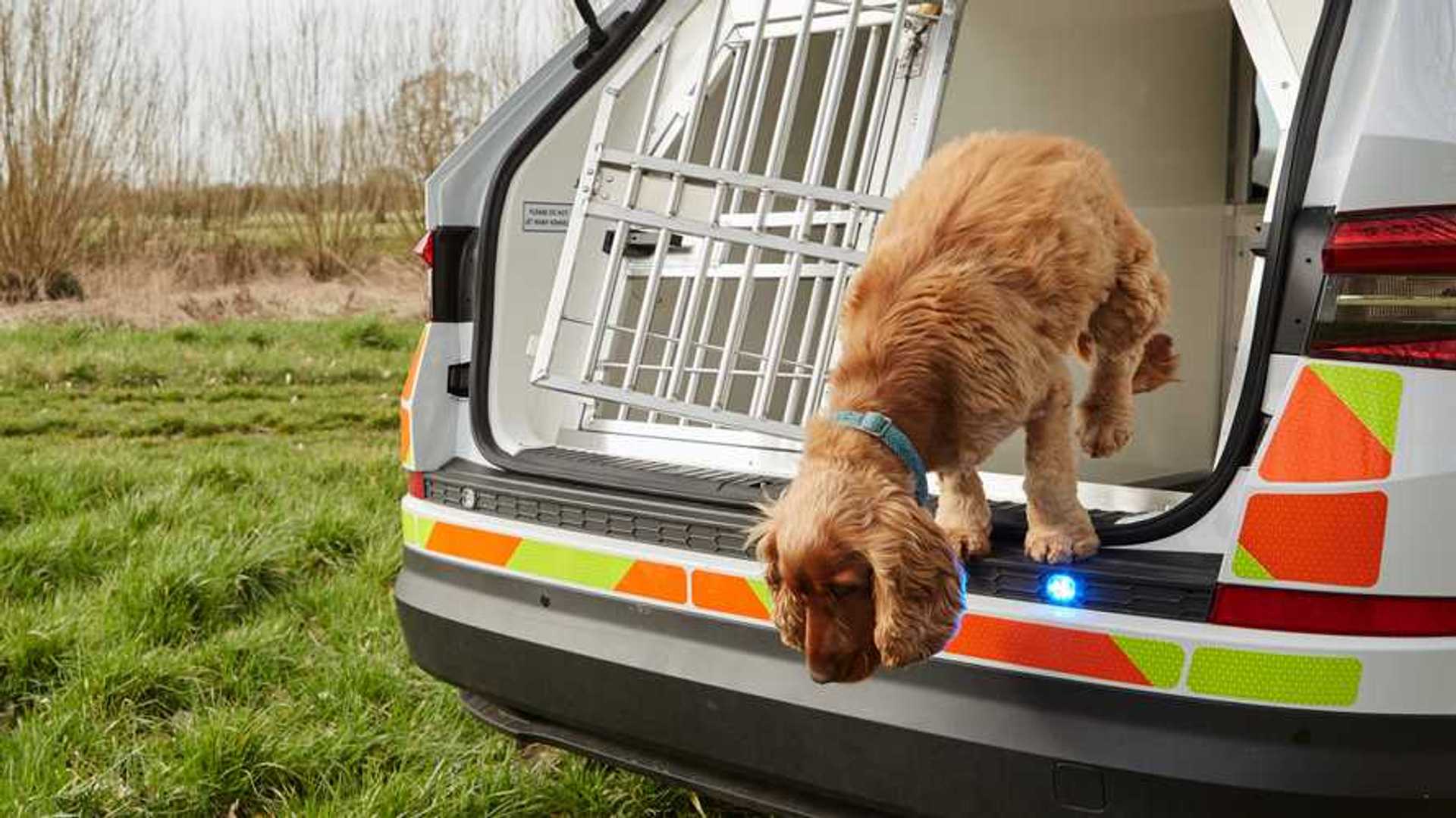 Skoda Kodiaq goes from family SUV to police dog van