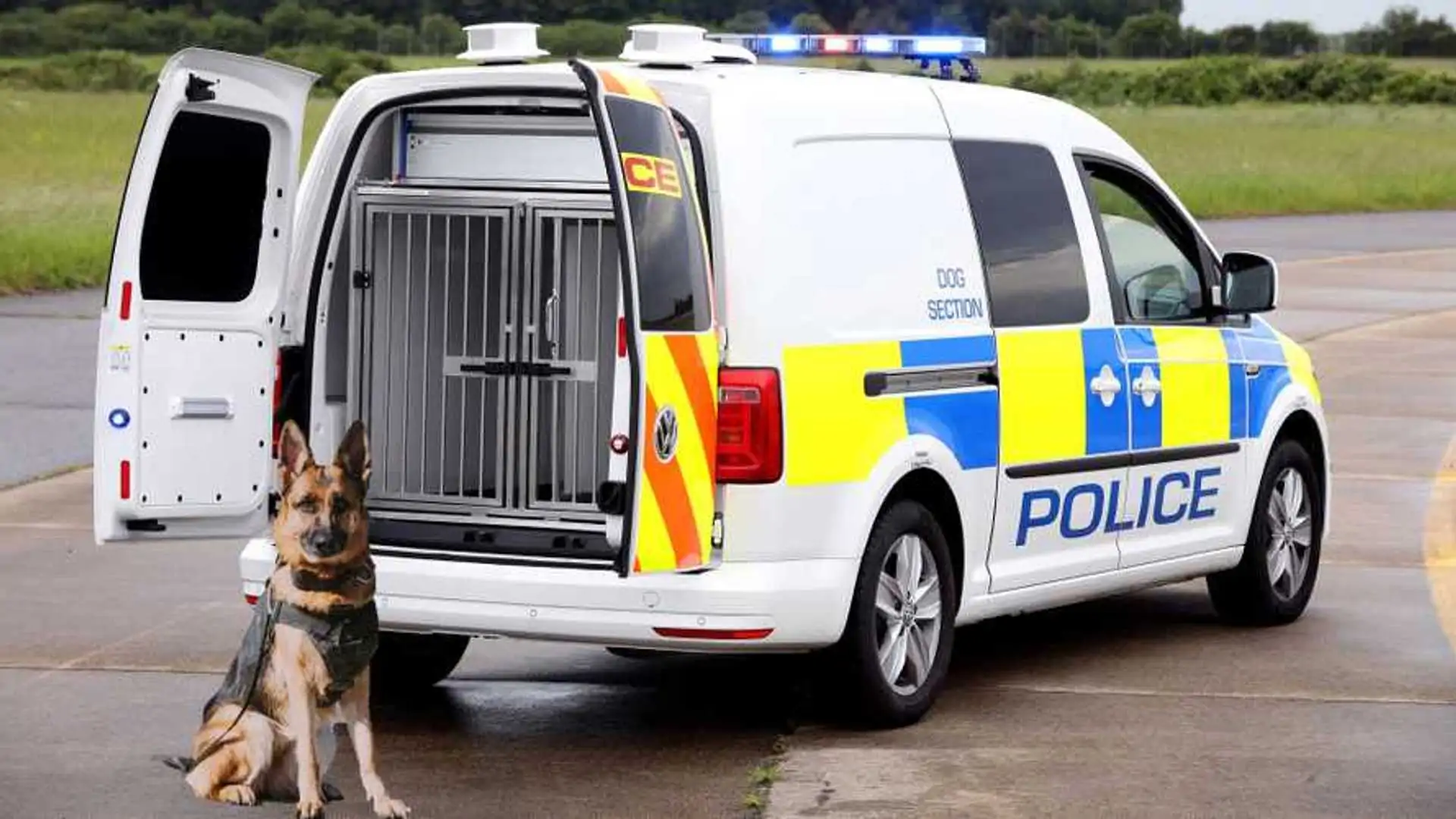 The New VW Caddy Conversion is Police Dog Approved