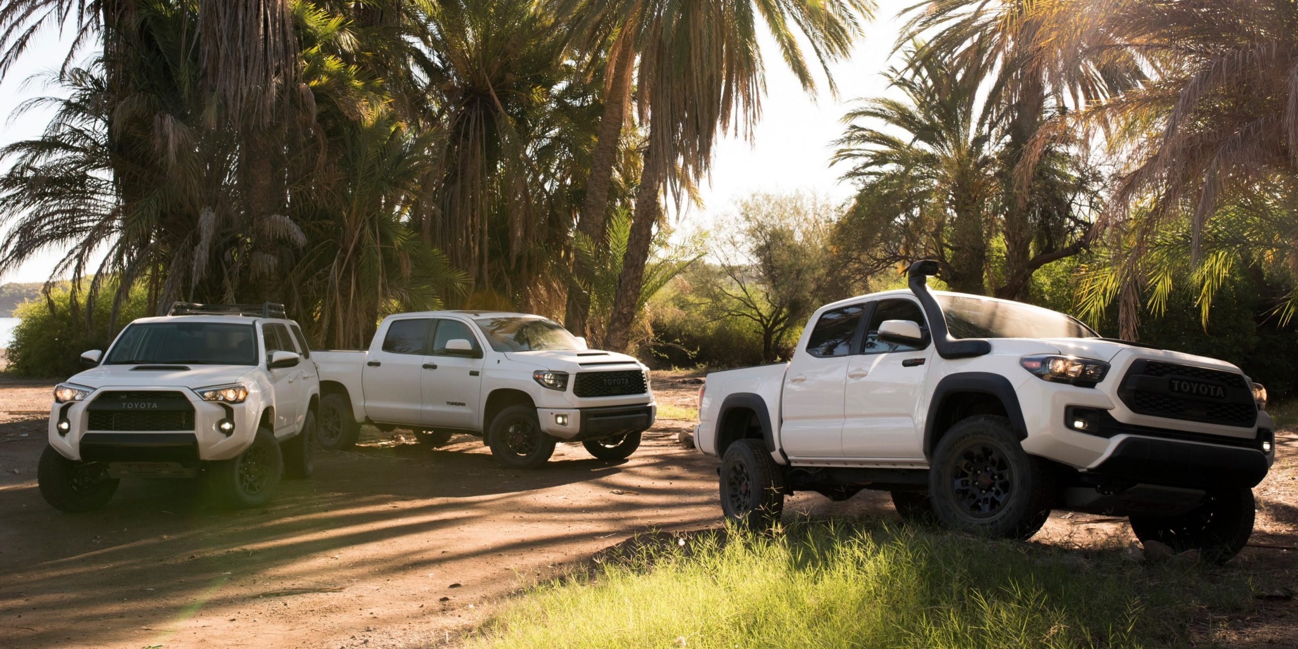 The launch of the 4Runner Nightshade and Tacoma SX at the Texas State Fair is a highlight of the State Fair.