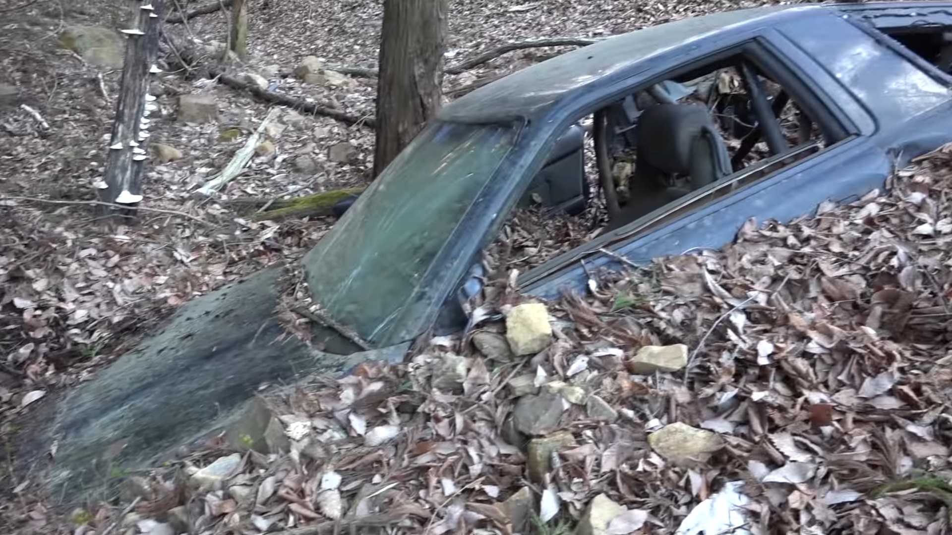 The Legend Of The Unrecoverable Supr in The Mountains Of Japan