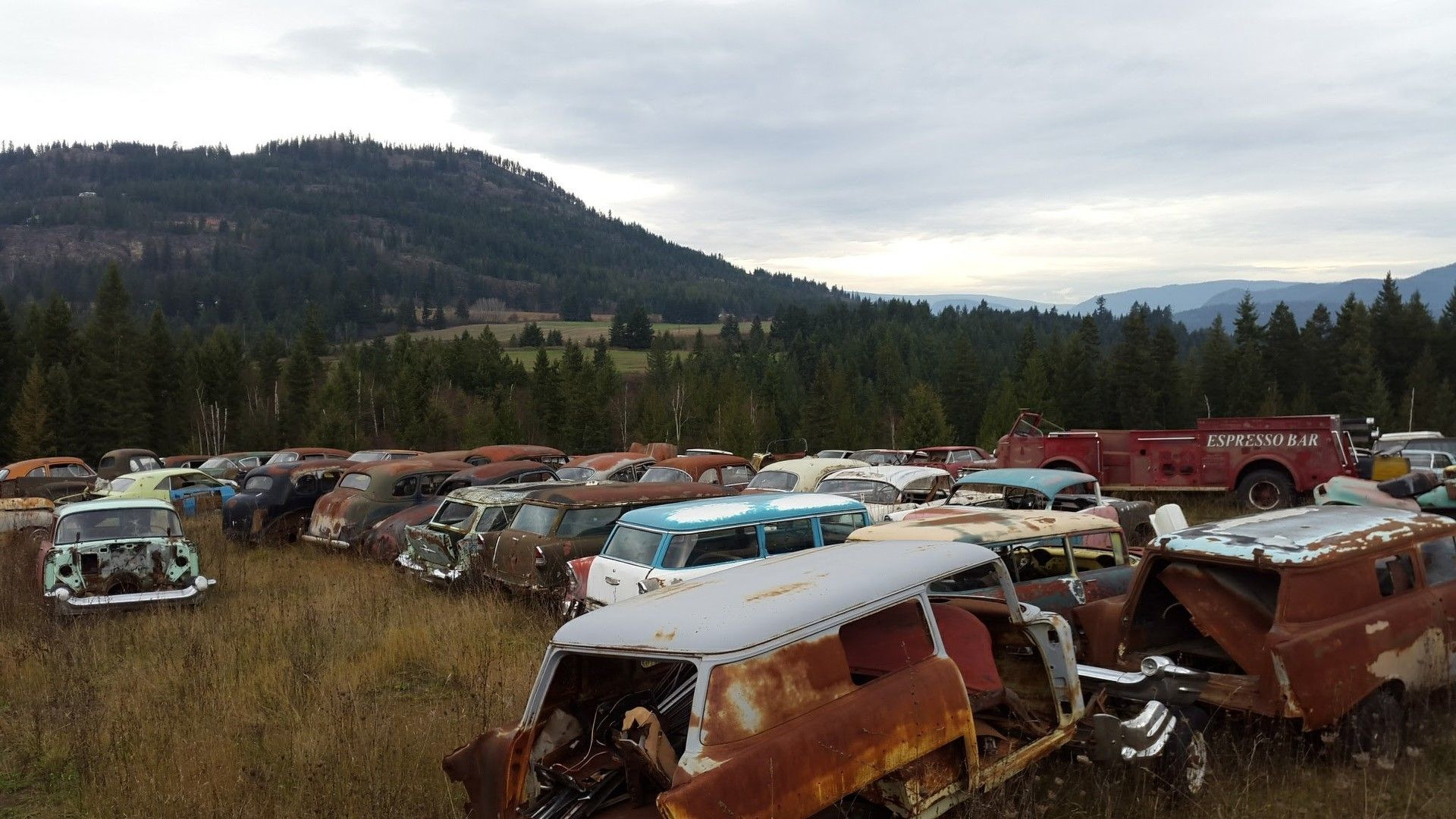 Guy Sells Land with 340 Rusting Classics for $1.5M. Where do I sign?