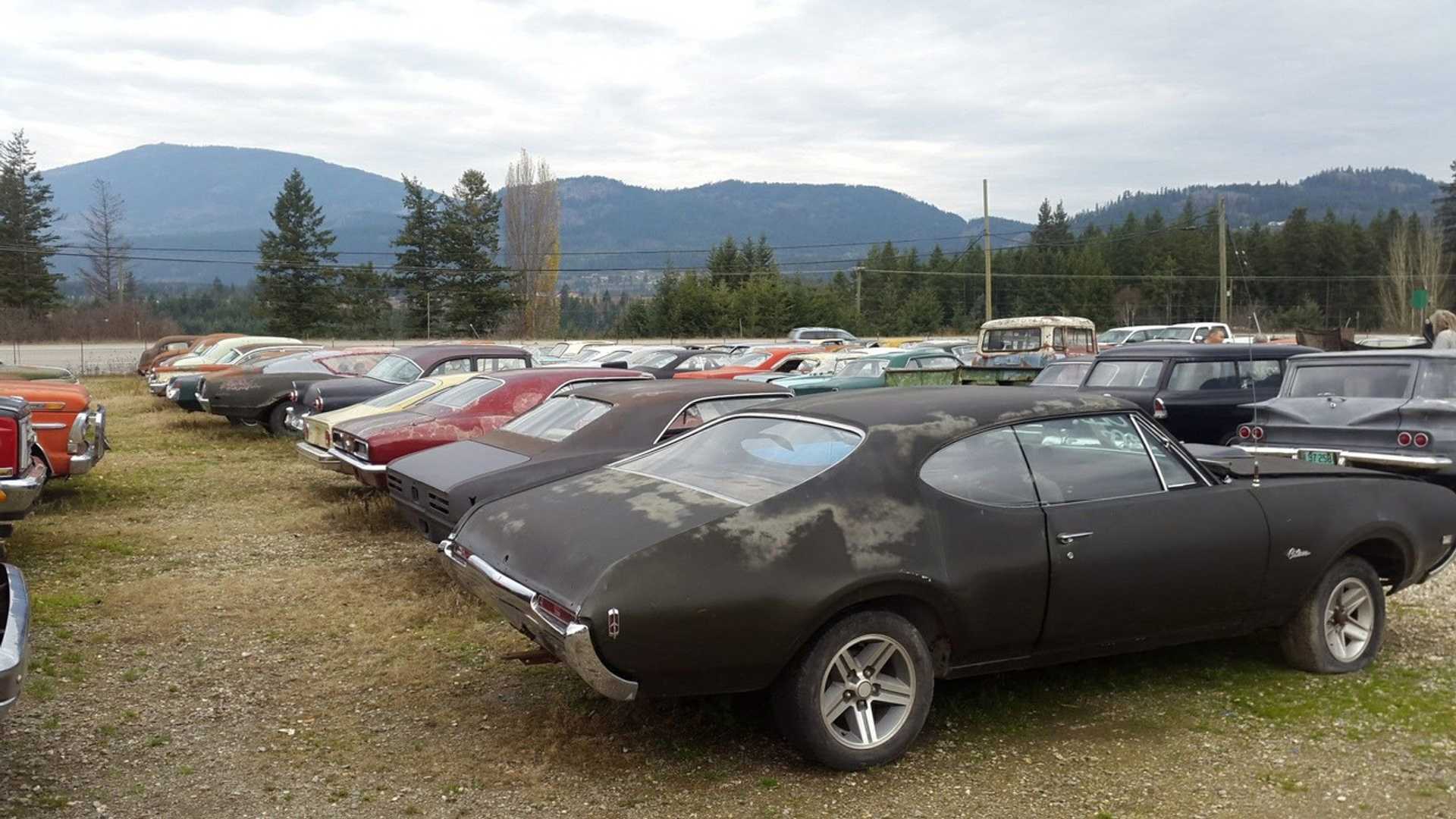 Guy Sells Land with 340 Rusting Classics for $1.5M. Where do I sign?