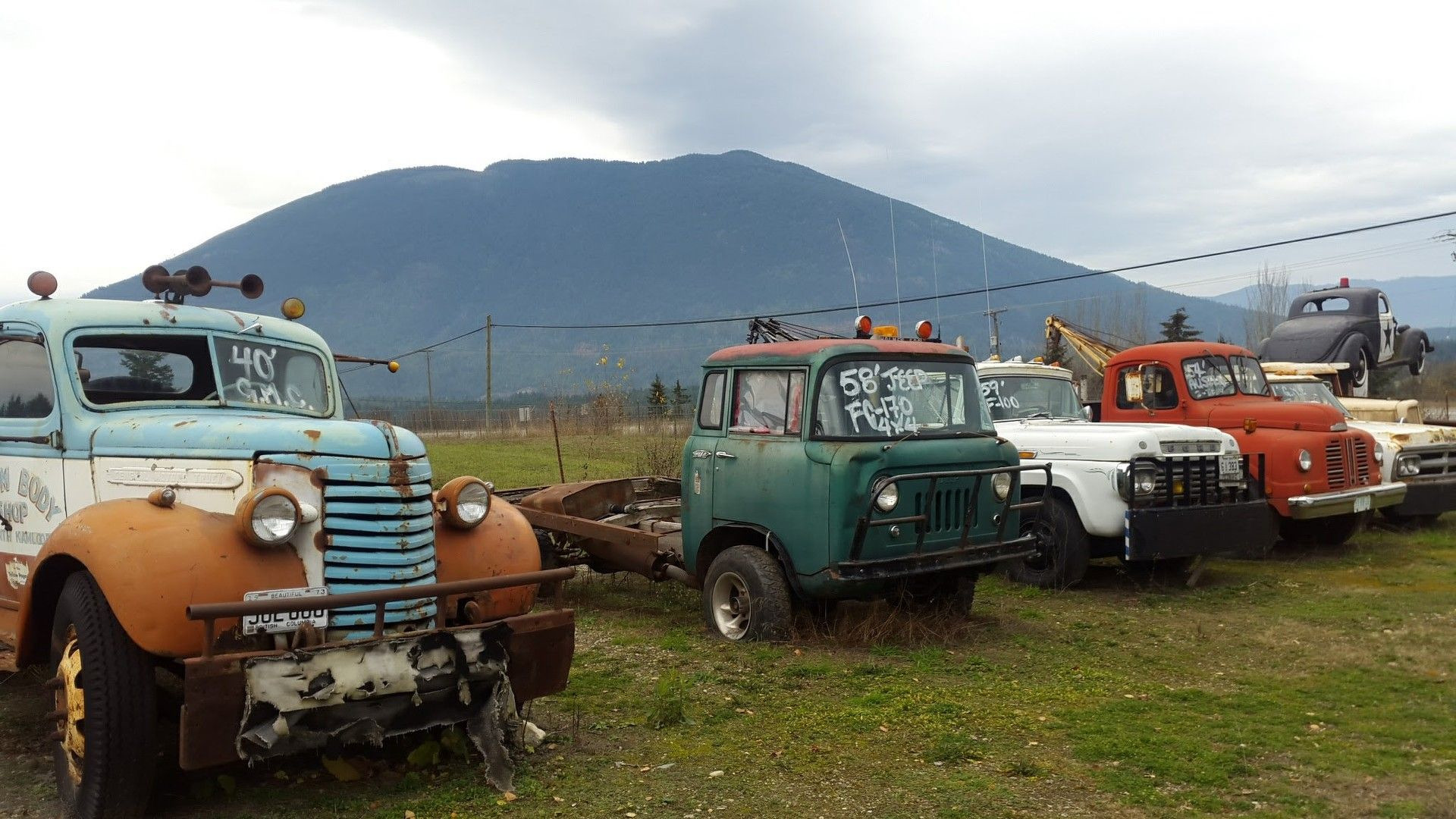 Guy Sells Land with 340 Rusting Classics for $1.5M. Where do I sign?