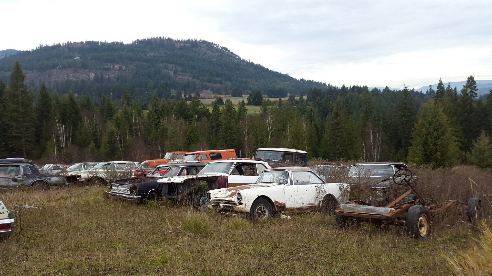 Guy Sells Land with 340 Rusting Classics for $1.5M. Where do I sign?