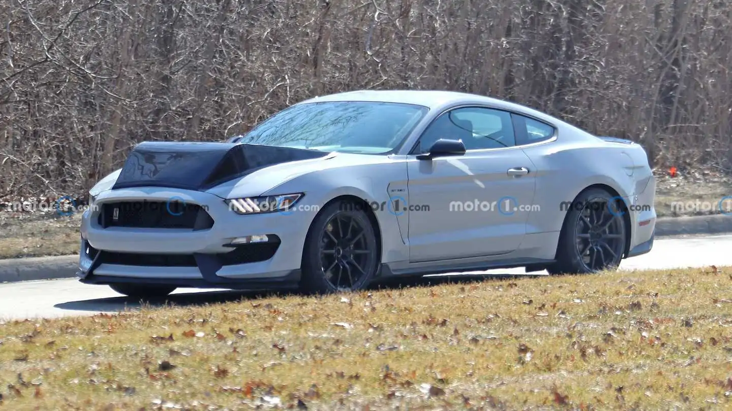 Ford Mustang Shelby GT350 Test Mule Spied With Biggest Hood Bulge Ever